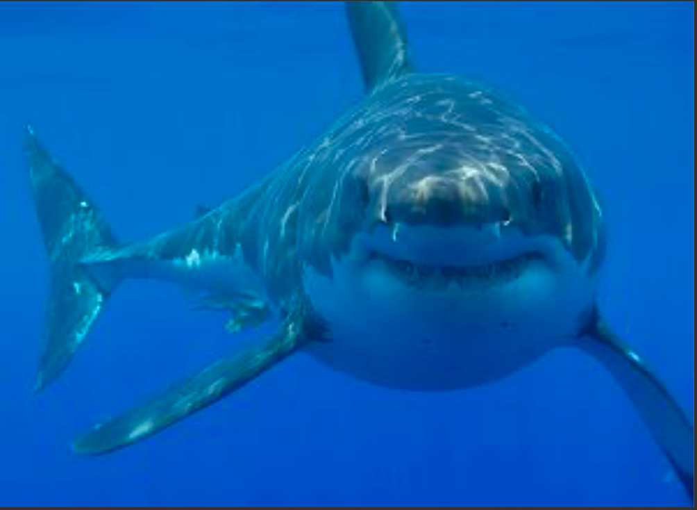 Como confrontar con coraje