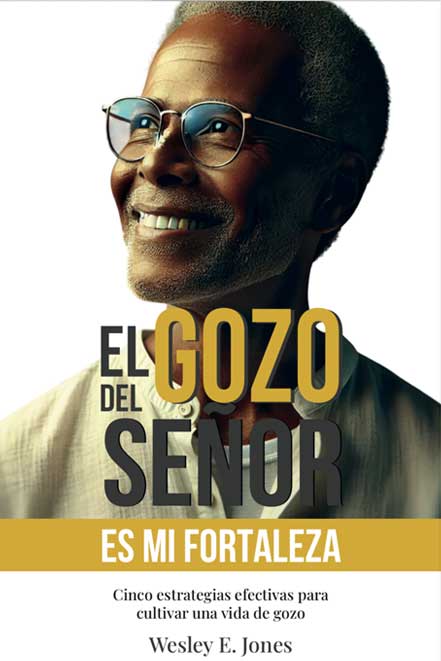 The joy of the Lord is my strength - Image 4